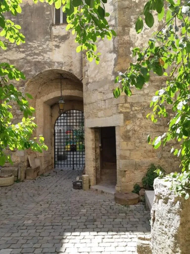 photo435_7 Palais des comtes de provence