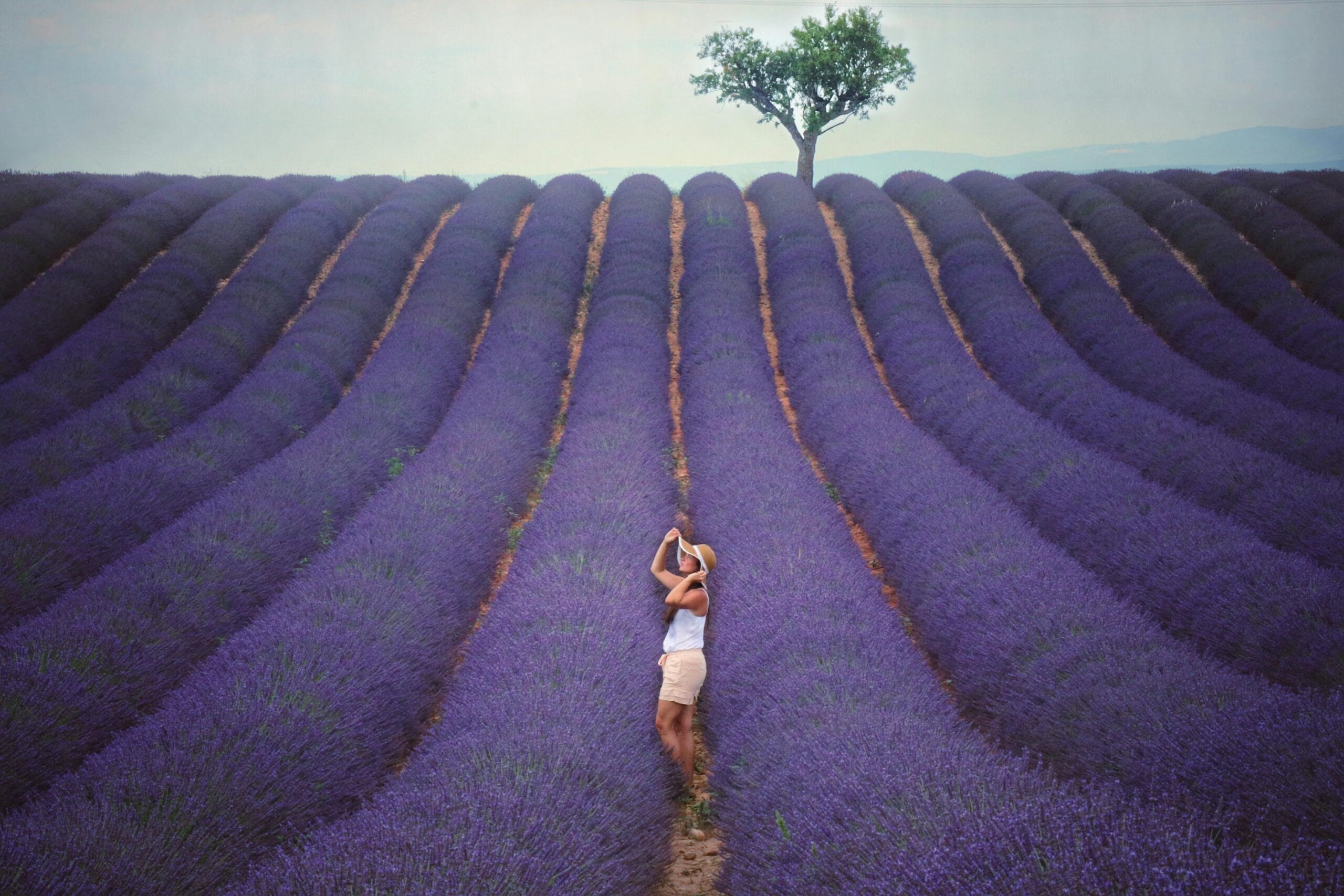 A woman in a hat relishing the beauty of endless lavender fields under a bright sky.
